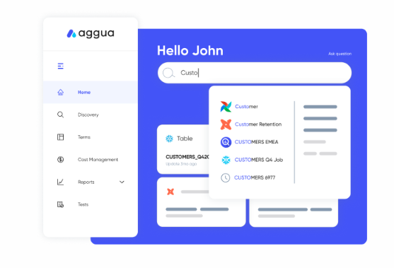 Aggua's data management platform home screen